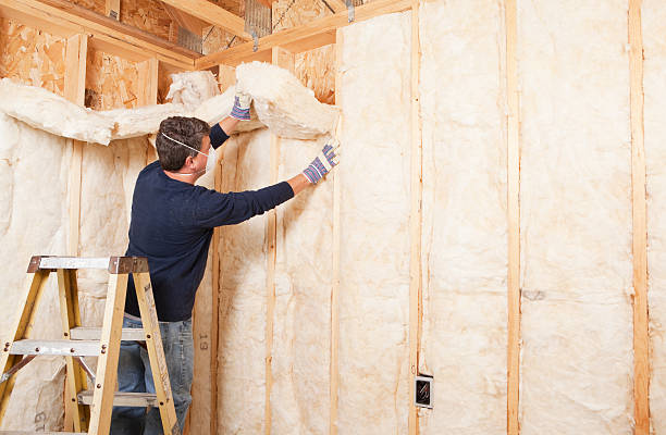 Best Eco-Friendly or Green Insulation Solutions  in Covington, WA